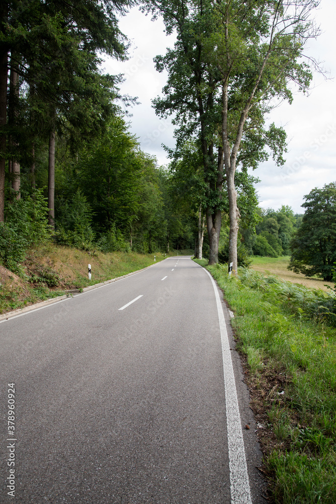 Forest Road