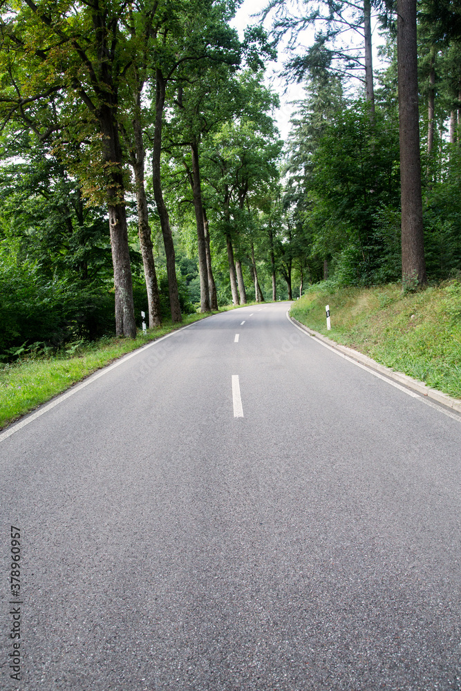 Obraz premium Forest Road
