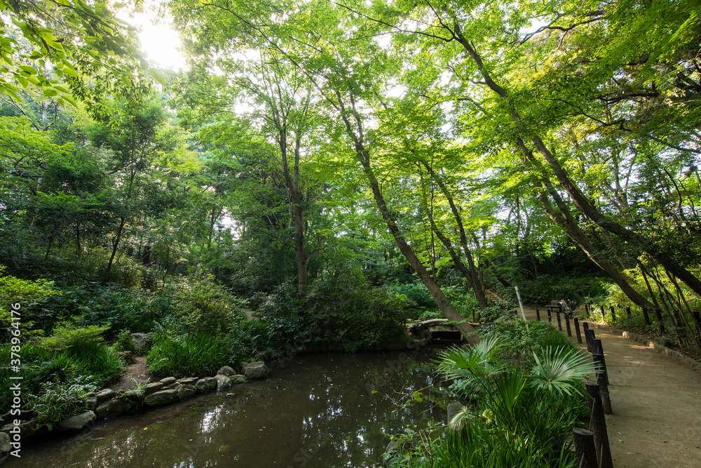 新宿区立おとめ山公園 新宿区立おとめ山公園