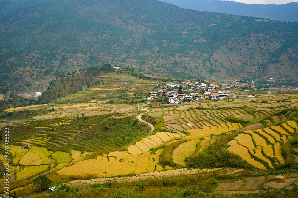 Fototapeta premium Bhutan, typical villages at the countryside in October