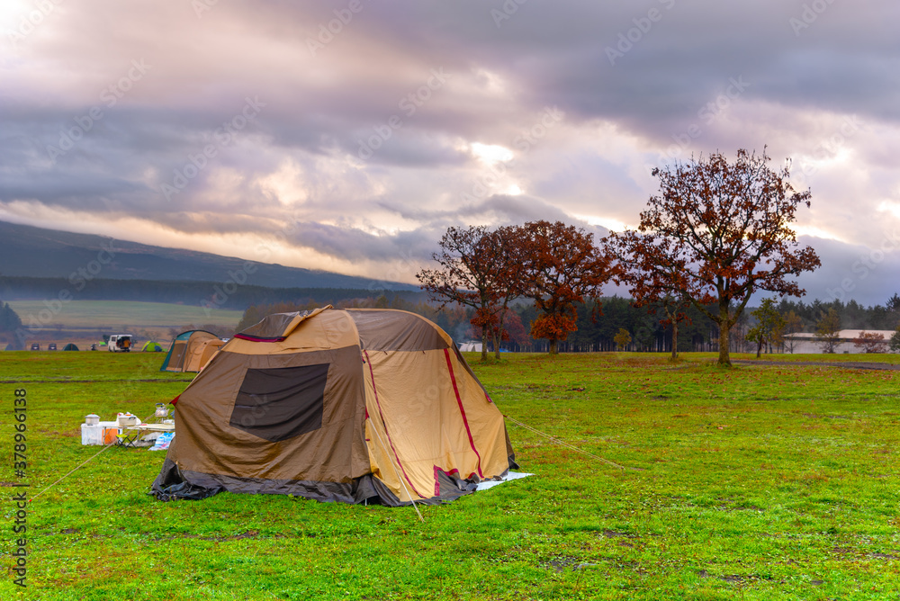 Tents Camping area, early morning with sunrise, beautiful natural place near the mountain and pine forest.
