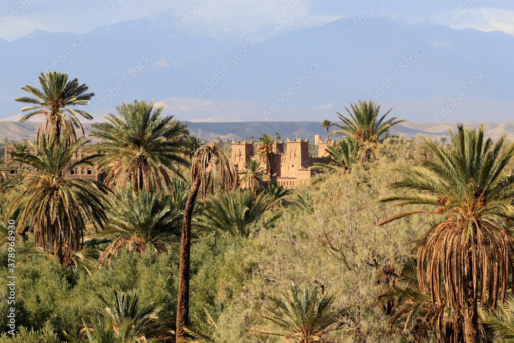 Kasbah oasis in Morocco with High Atlas in the background
