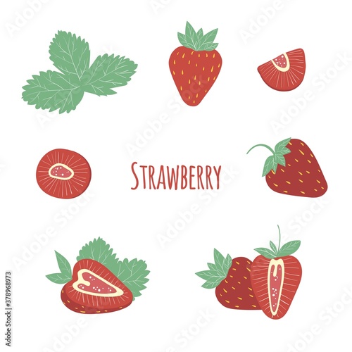Fototapeta Naklejka Na Ścianę i Meble -  Vector strawberry collection slices, half. Fruit illustration