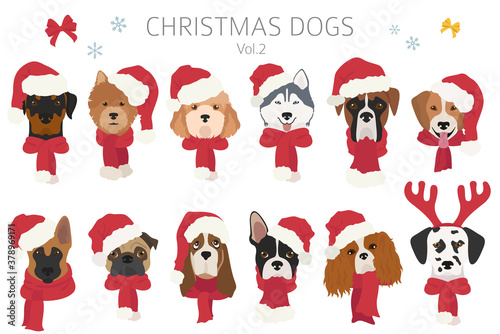 Dog portraits in Santa hats and scarves. Christmas holiday design