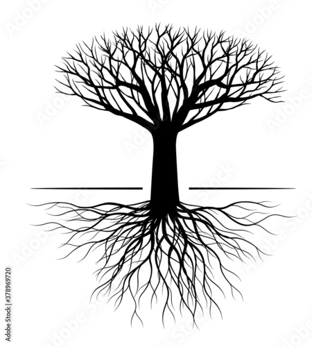 Shape of black naked Tree and Roots. Vector outline Illustration. Plant in Garden.