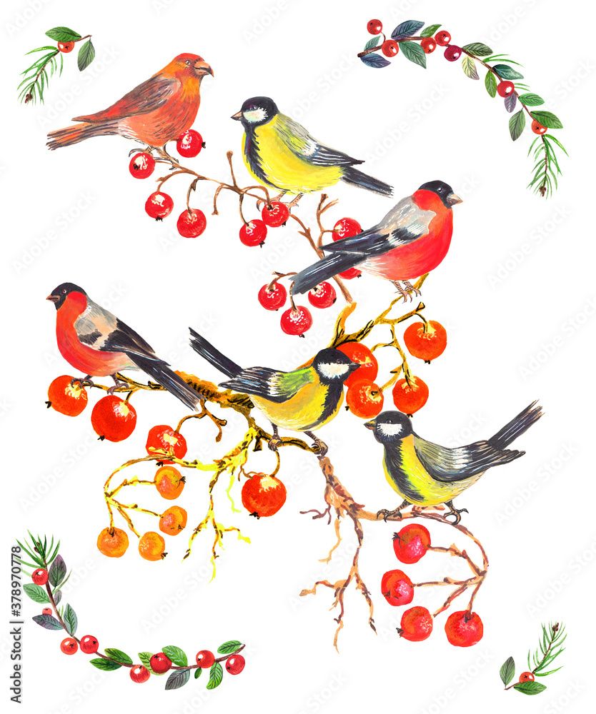 Fototapeta premium Watercolor colorful christmas composition with forest birds, cone and branches tree. White background.