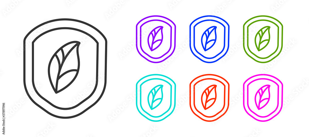Black line Shield with leaf icon isolated on white background. Eco-friendly security shield with leaf. Set icons colorful. Vector Illustration.