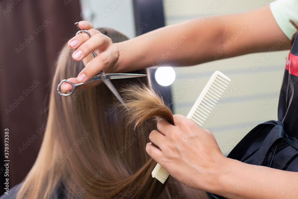 Fototapeta premium Womens hairdresser, beauty salon. Professional stylist cuts female hair in salon
