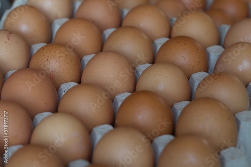 Brown eggs in rows in crate