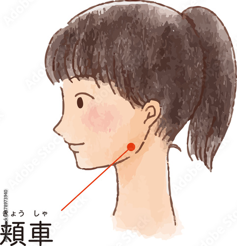 ツボ・経穴「頰車」の手描き風イラスト