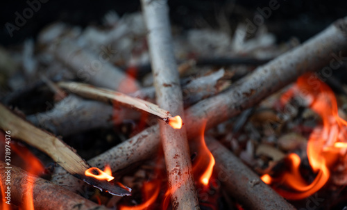 Close-up burning woods and flames © ErdalIslak