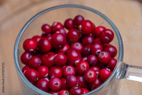 Natural healthy cranberries from the forest