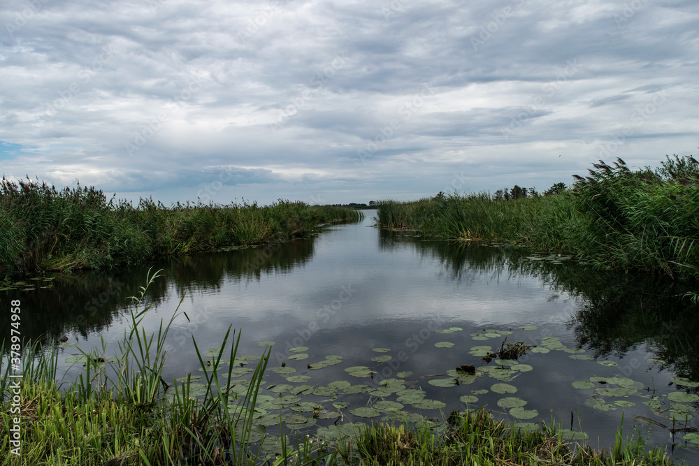 lake in the fields