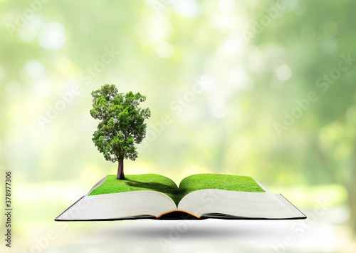 Green Ecology Concept : Green tree growth thru from opened book with blurry image of public park in background. © Angkana
