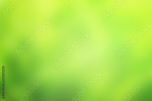 Green natural gradient background, Abstract green blurred background with bright sunlight.