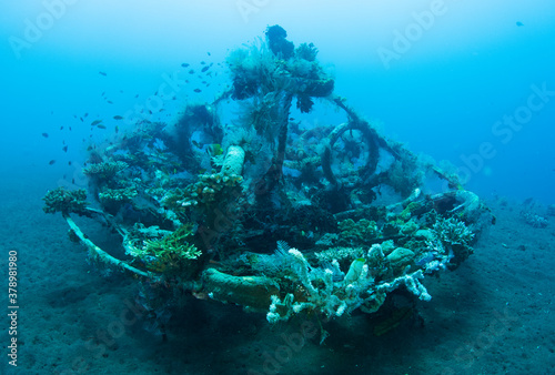 Fototapeta Naklejka Na Ścianę i Meble -  Artificial reef - underwater world of Tulamben, Bali, Indonesia. 