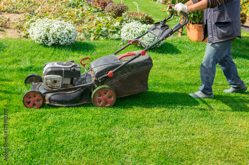 The gardener mows the lawn with a lawn mower