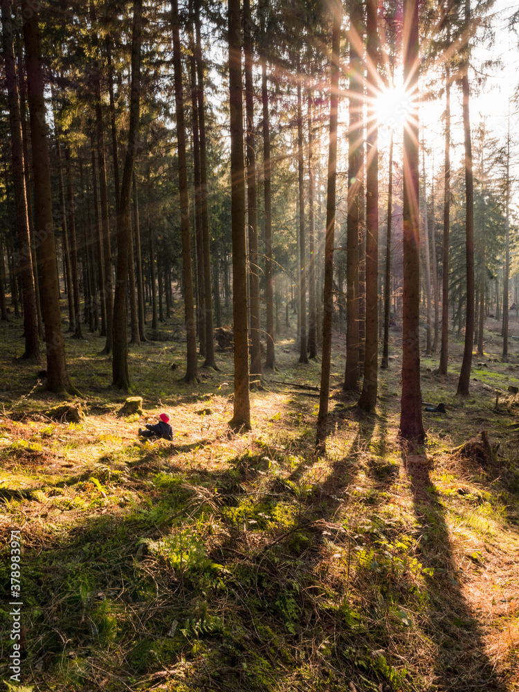 Obraz premium Child playing in the woods with golden sunrays