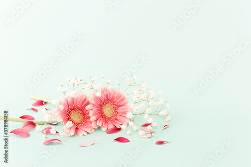 spring bouquet of pink and white flowers over pastel mint background