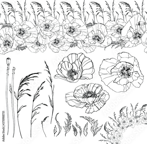 Poppy flowers, field grasses, blades of grass isolated on a white background. Vector, hand-drawn graphics. Seamless Wreaths. Various floral elements for decoration, summer, spring season. Seaml