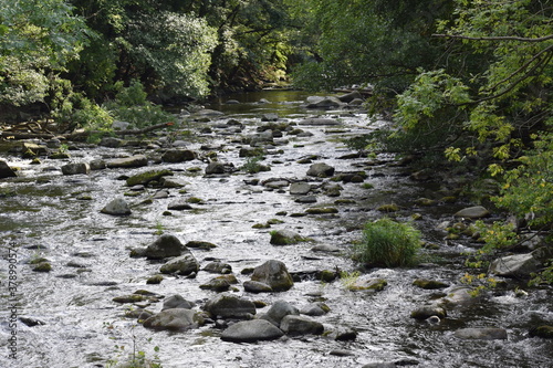 Thale - Hexentanzplatz