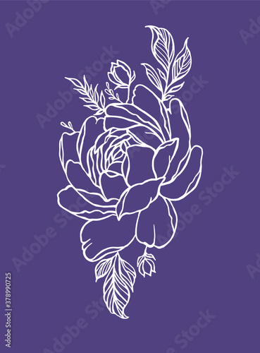 Vector peony flower white silhouette floral tattoo outline drawing illustration with leaves isolated on violet background.Hand drawn rose sketch for wall vinyl decal sticker design.Logo icon.Spa.