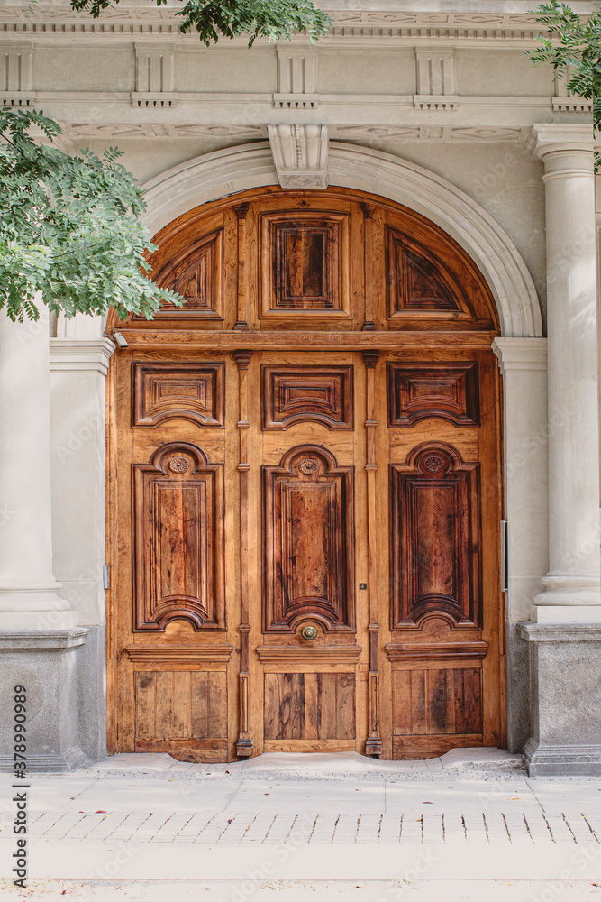 baroque style wooden door background
