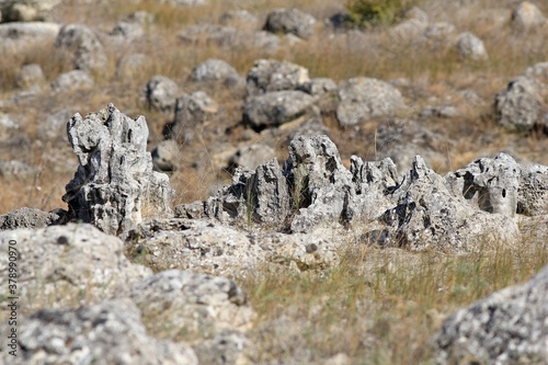 The picturesque rocks near the village of Slynchevo (Bulgaria)