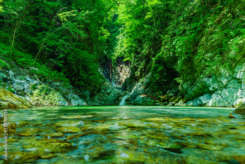 Fototapeta Naklejka Na Ścianę i Meble -  木々に囲まれた小さな滝