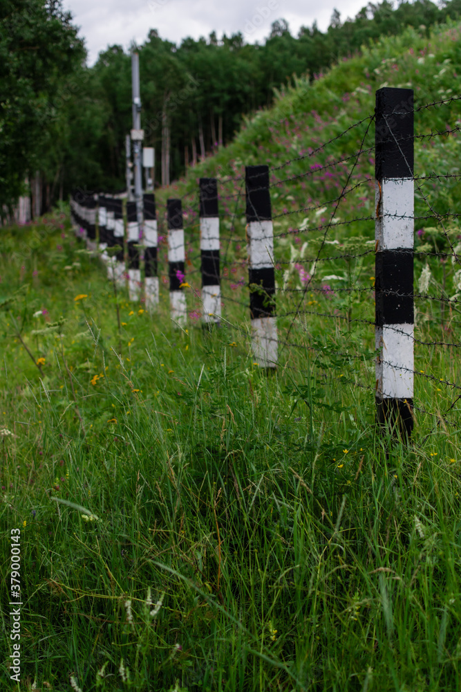 black and white striped fence posts with barbed wire stand in dense grass with flowers in hill, forest black and white striped fence posts with barbed wire stand in dense grass with flowers in hill, forest
