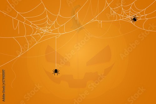 Spider and cobweb background. The scary of the halloween