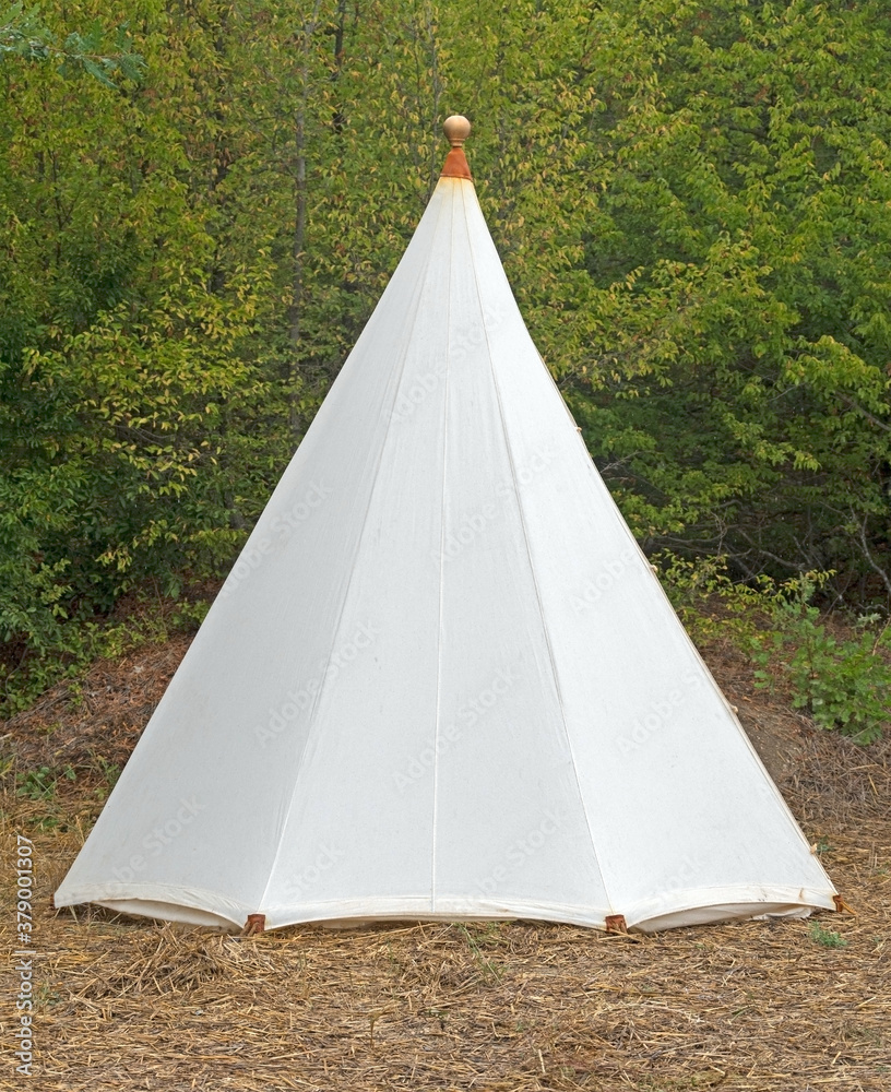 tent on a forest clearing