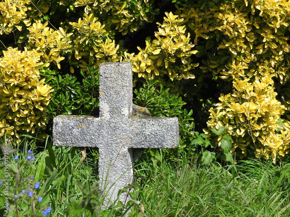 A cross in a bush and a bush A cross in a bush and a bush