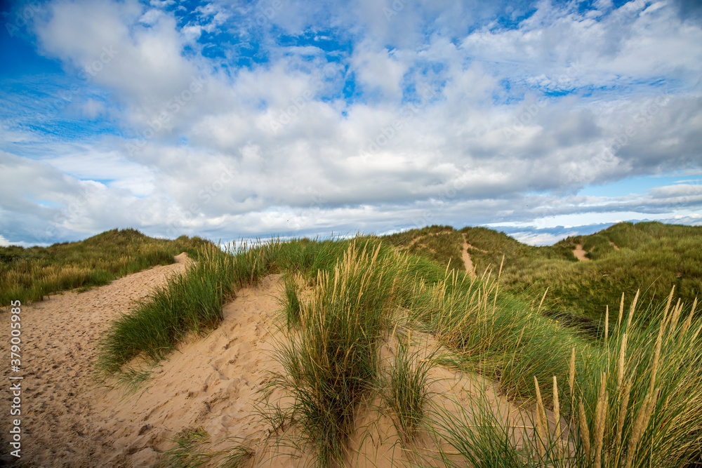 Marram Grass on Formby Sand Dunes