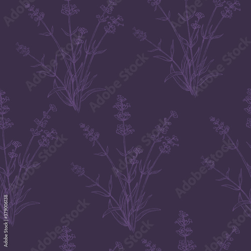 Seamless Pattern with Pencil Drawn Lavender Herb photo
