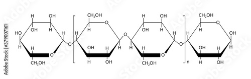 2D vector illustration of the natural polymer polysaccharide cellulose, which is derived from D-glucose units linked by 1,4 β-glycosidic bonds. The structural formula is isolated on a white background photo