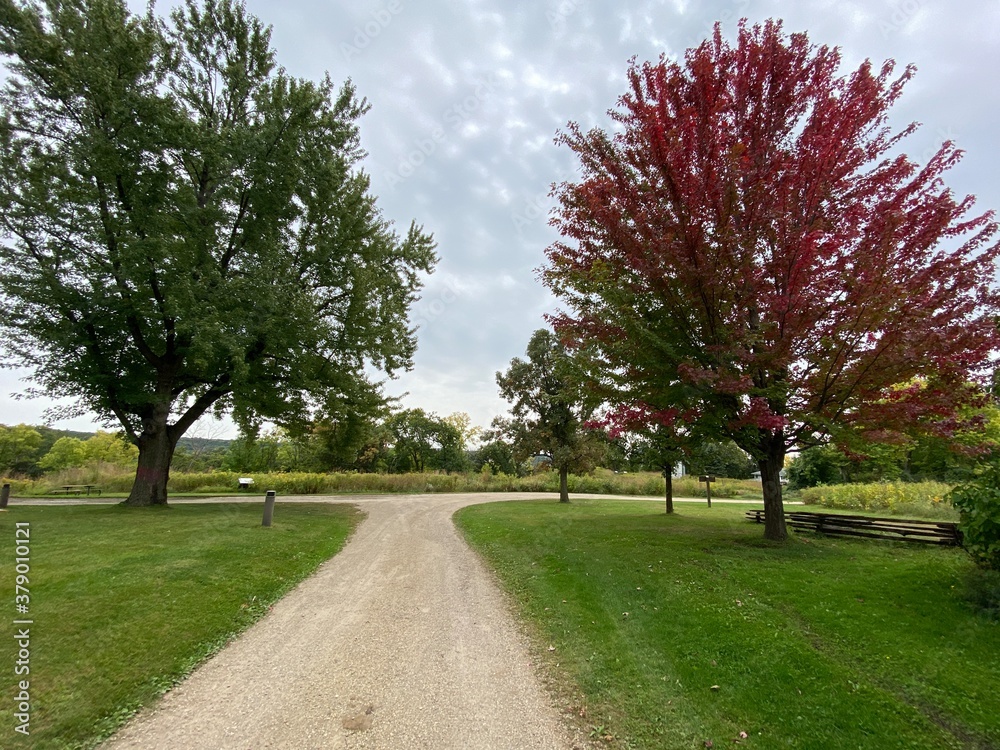 Scenic Minnesota Landscape in Early Autumn