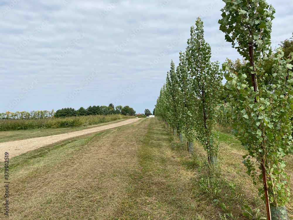 Scenic Minnesota Landscape in Early Autumn Scenic Minnesota Landscape in Early Autumn
