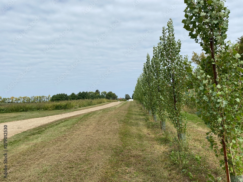 Scenic Minnesota Landscape in Early Autumn Scenic Minnesota Landscape in Early Autumn