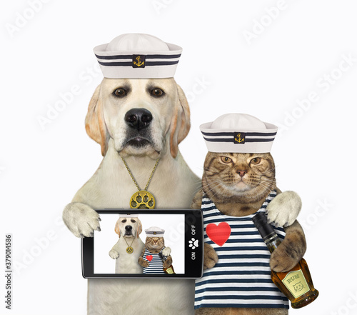 Fototapeta Naklejka Na Ścianę i Meble -  A dog sailor and a cat with a bottle of rum take selfie together. White background. Isolated.