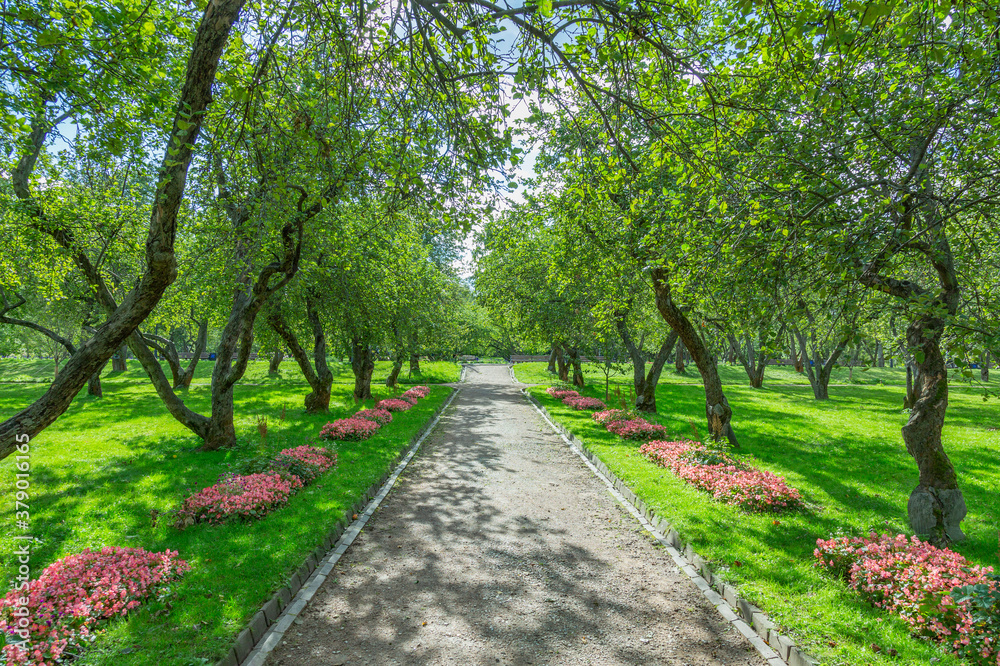 A path for pedestrians to walk in a modern green city park in the summer daytime A path for pedestrians to walk in a modern green city park in the summer daytime