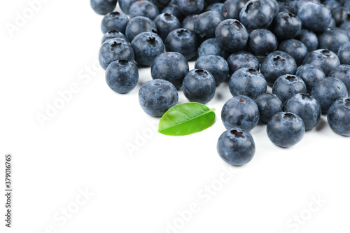 blueberries berries on white background with copy space