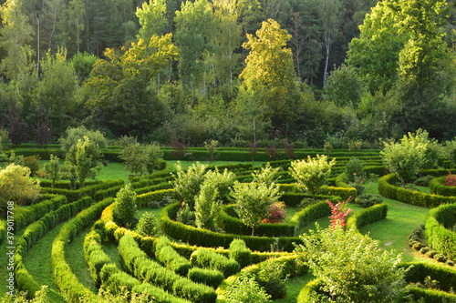 Arboretum Bramy Morawskiej – ogród botaniczny usytuowany we wschodniej części Raciborza obejmujący całym swoim zasięgiem las komunalny Obora. komunalny Obora krzewy lato 