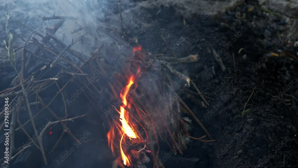 Wood Pieces Fire Burn in Nature Wood Pieces Fire Burn in Nature