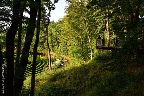Arboretum Bramy Morawskiej     ogr  d botaniczny usytuowany we wschodniej cz    ci Raciborza obejmuj  cy ca  ym swoim zasi  giem las komunalny Obora. komunalny Obora krzewy lato 