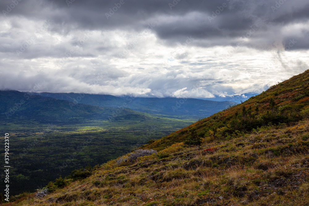 Aerial View. View of Canadian Mountain Landscape during a cloudy morning sunrise. Kluane National Park, Yukon, Canada.