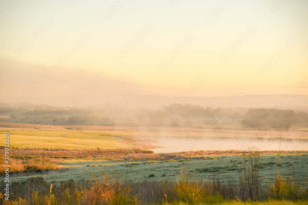 Dawn with frost formation in the fields of the Pampa biome in southern Brazil