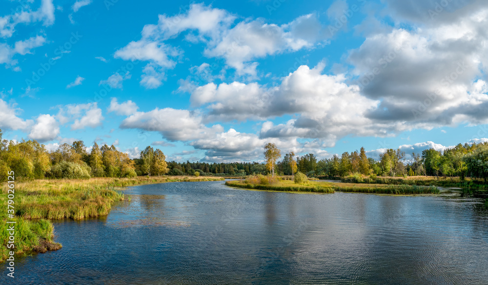 Beautiful panoramic autumn landscape with bright trees on the lake shore