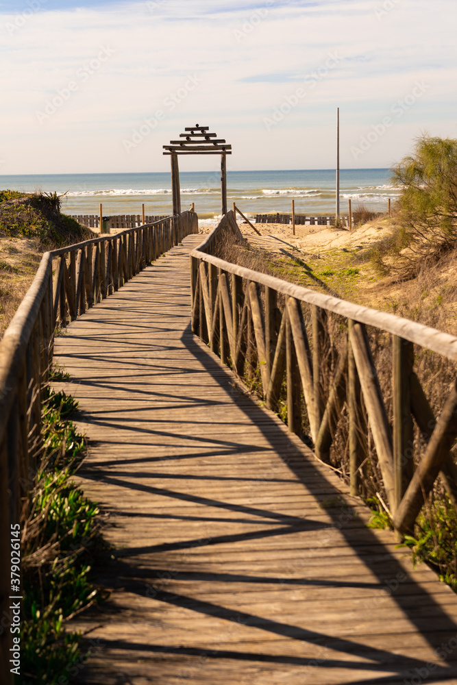 Obraz premium Wooden bridge that goes directly to the sea. A small forest surrounds us and it is an autumn afternoon.