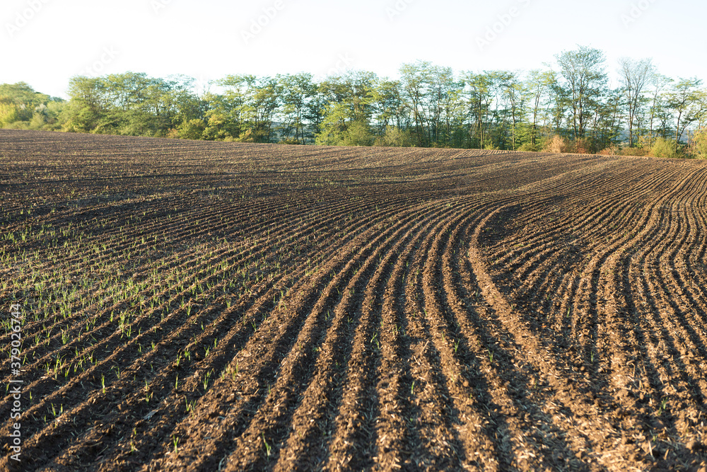 Sunset over a plowed field with brown soil. Beautiful autumn landscape. Sunset over a plowed field with brown soil. Beautiful autumn landscape.